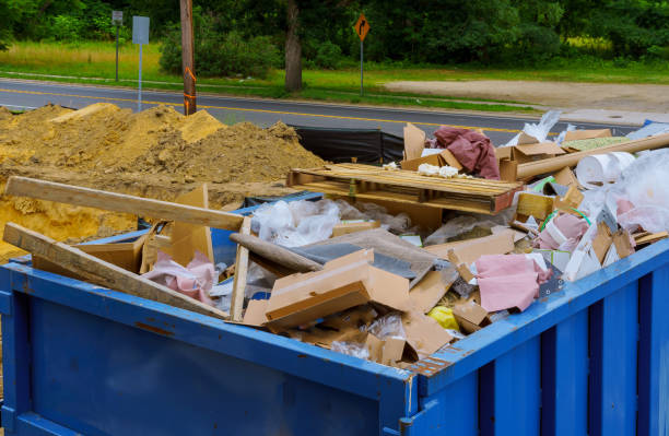 Best Shed Removal  in Hamlin, TX